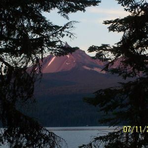 Meet your Posher, Liz